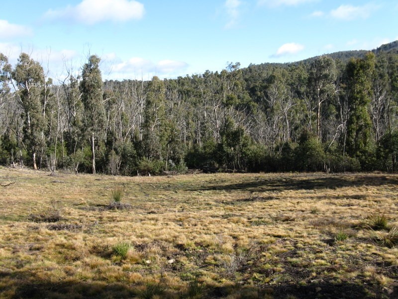 1186 Great Alpine Road Via Omeo, Cobungra VIC 3898