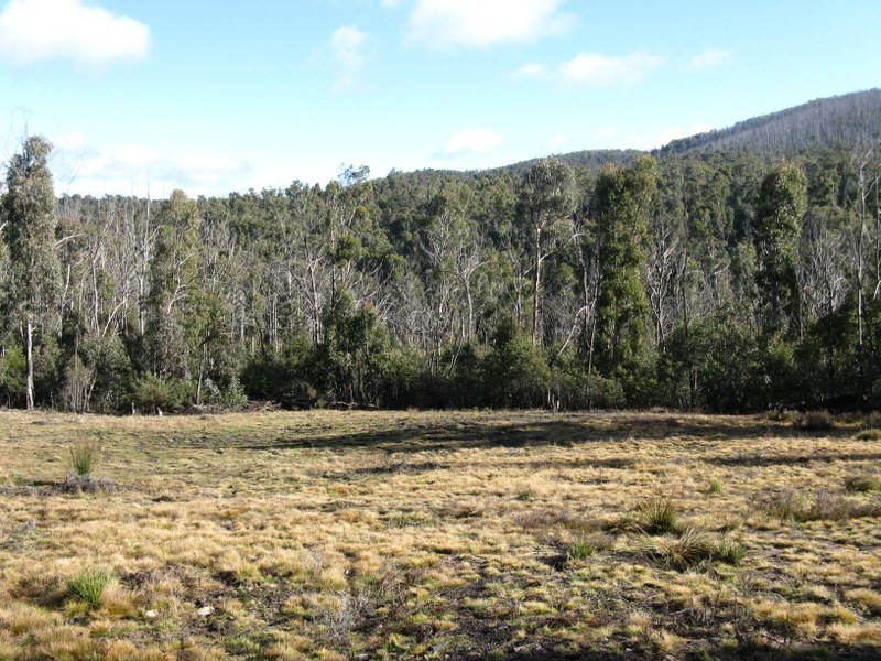 1186 Great Alpine Road Via Omeo, Cobungra VIC 3898