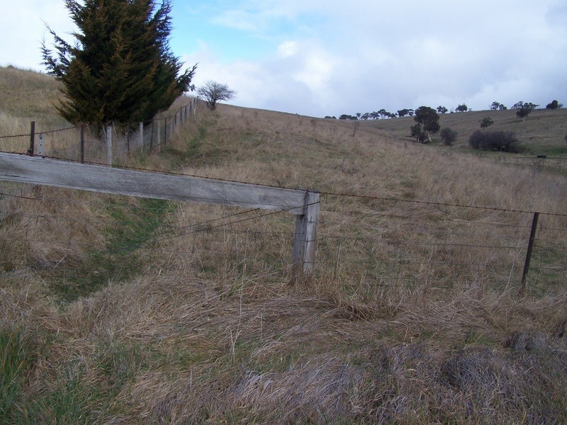 263 Day Avenue, Omeo VIC 3898