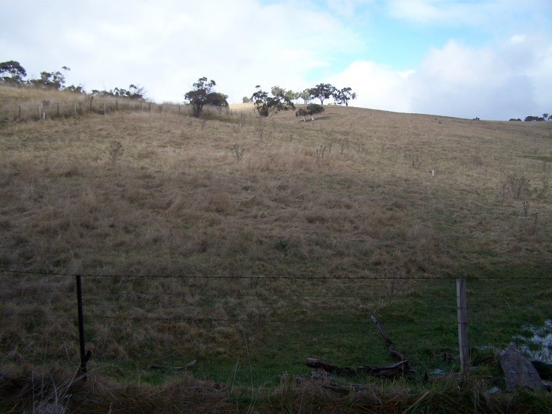 263 Day Avenue, Omeo VIC 3898