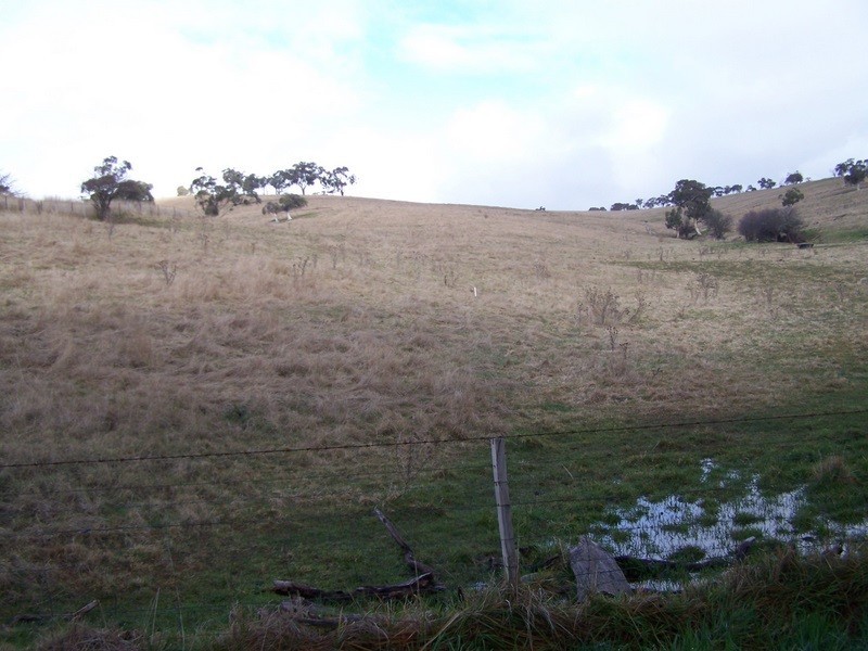 263 Day Avenue, Omeo VIC 3898