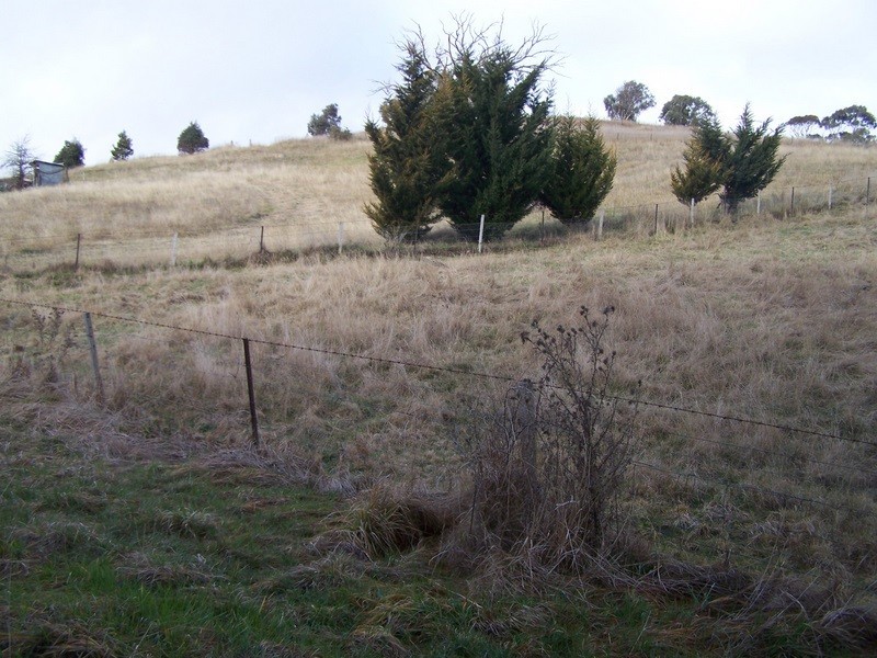 263 Day Avenue, Omeo VIC 3898