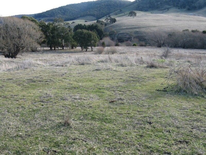 303 Omeo Highway, Omeo VIC 3898