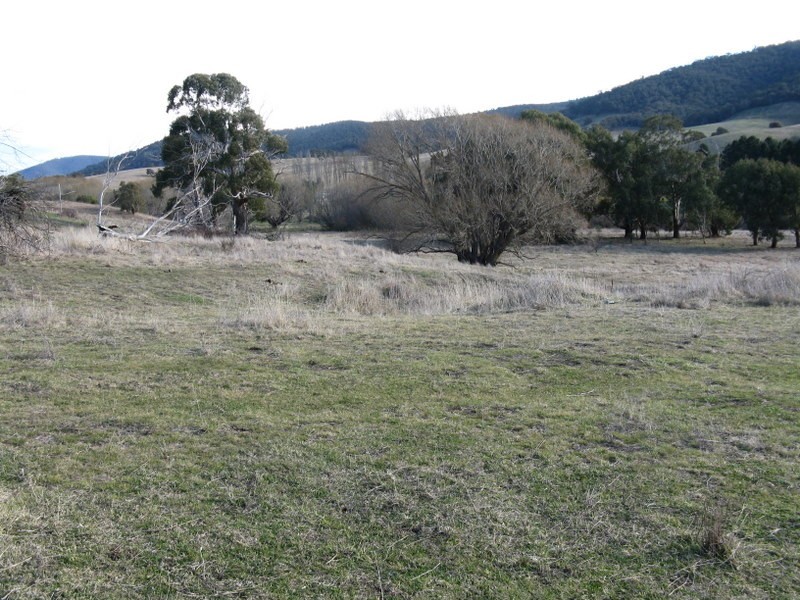 303 Omeo Highway, Omeo VIC 3898