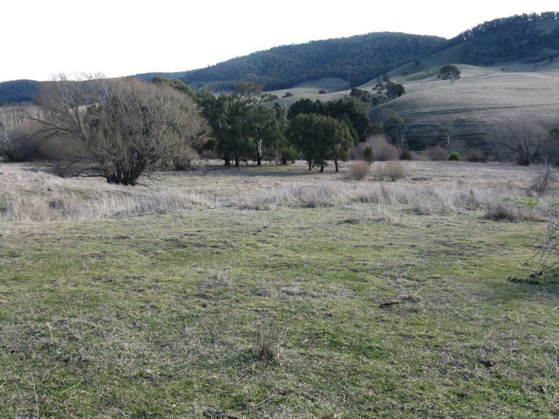 303 Omeo Highway, Omeo VIC 3898