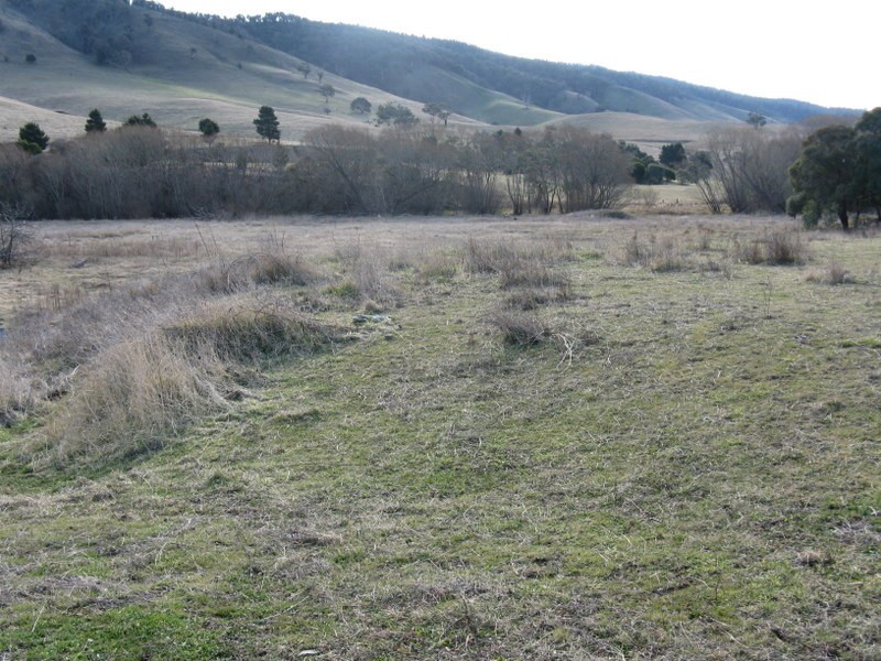 303 Omeo Highway, Omeo VIC 3898