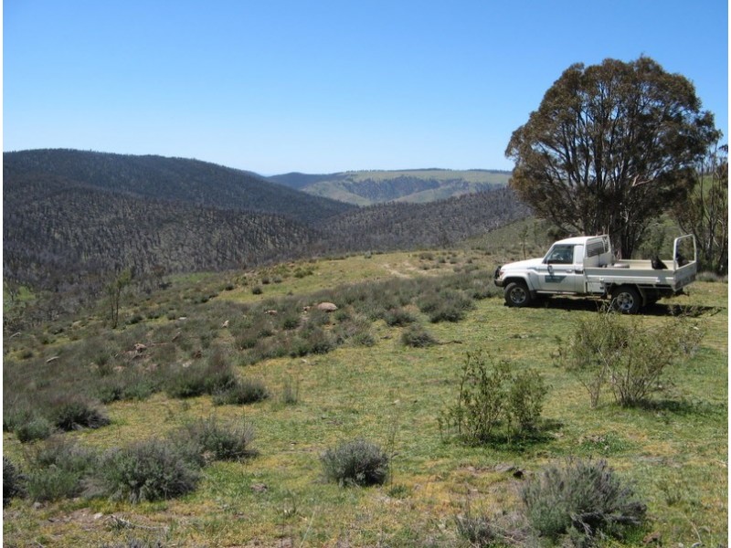 65 Victoria Falls Road via Omeo, Cobungra VIC 3898