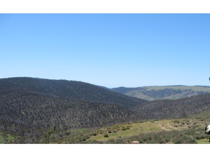 65 Victoria Falls Road via Omeo, Cobungra VIC 3898