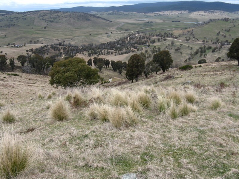 46 Victoria Court, Cobungra VIC 3898