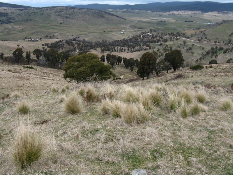 46 Victoria Court via Omeo, Cobungra VIC 3898