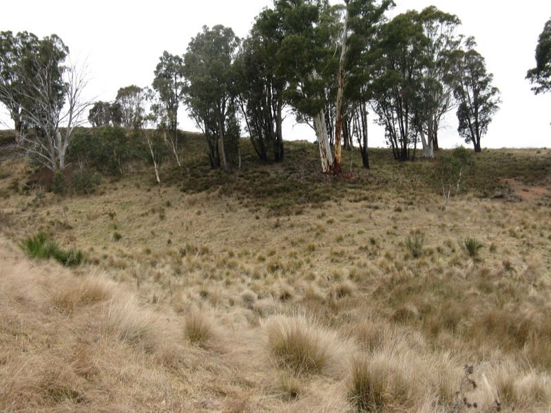 46 Victoria Court via Omeo, Cobungra VIC 3898