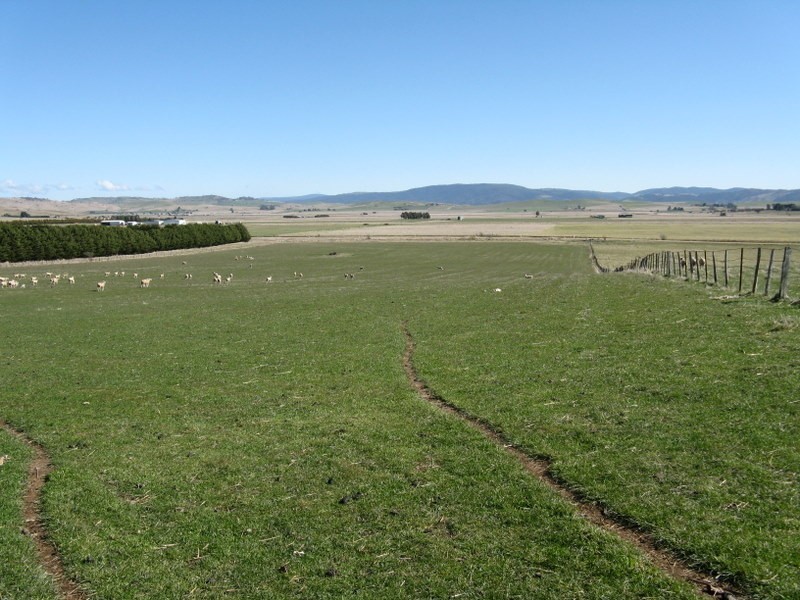 1814 Benambra Road, Benambra VIC 3900