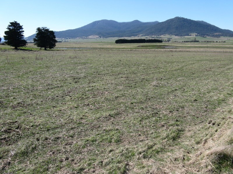 1814 Benambra Road, Benambra VIC 3900