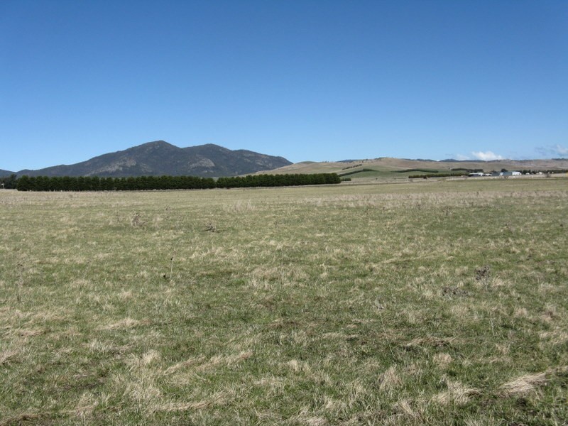 1814 Benambra Road, Benambra VIC 3900