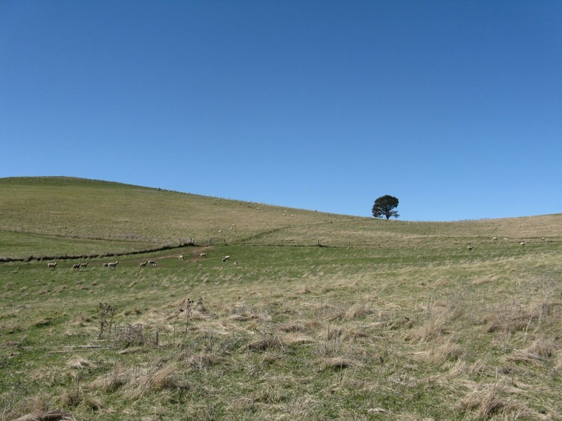 1814 Benambra Road, Benambra VIC 3900