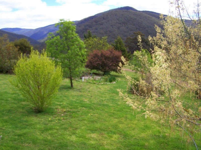 20 Stockyard Road, Tongio VIC 3896