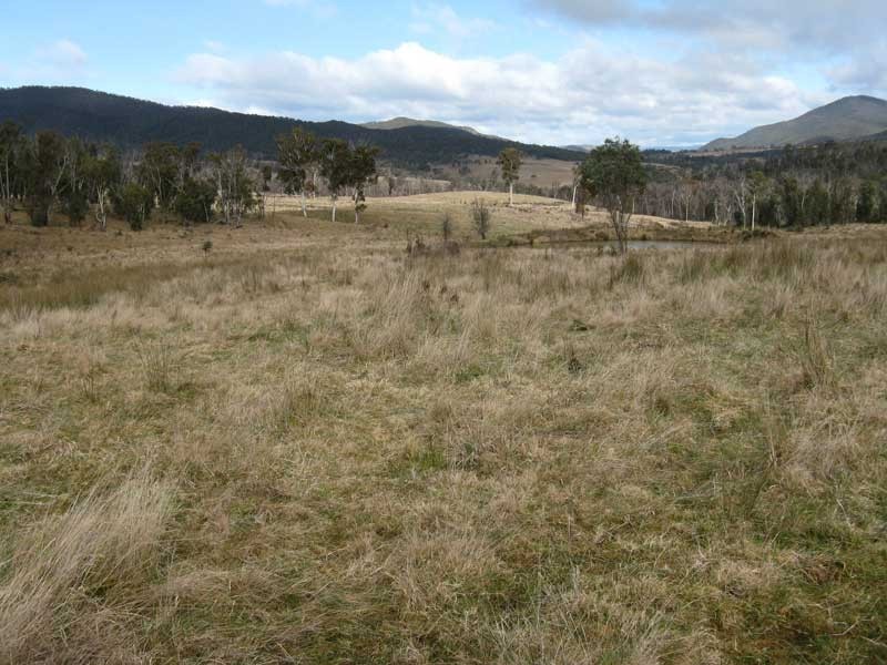 Lot 2 Kellys Road (Tablelands), Benambra VIC 3900