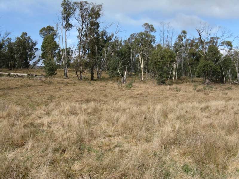 Lot 2 Kellys Road (Tablelands), Benambra VIC 3900