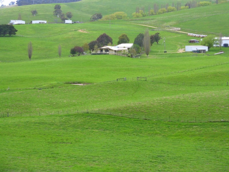 245 Tolands Road Cobungra, Omeo VIC 3898