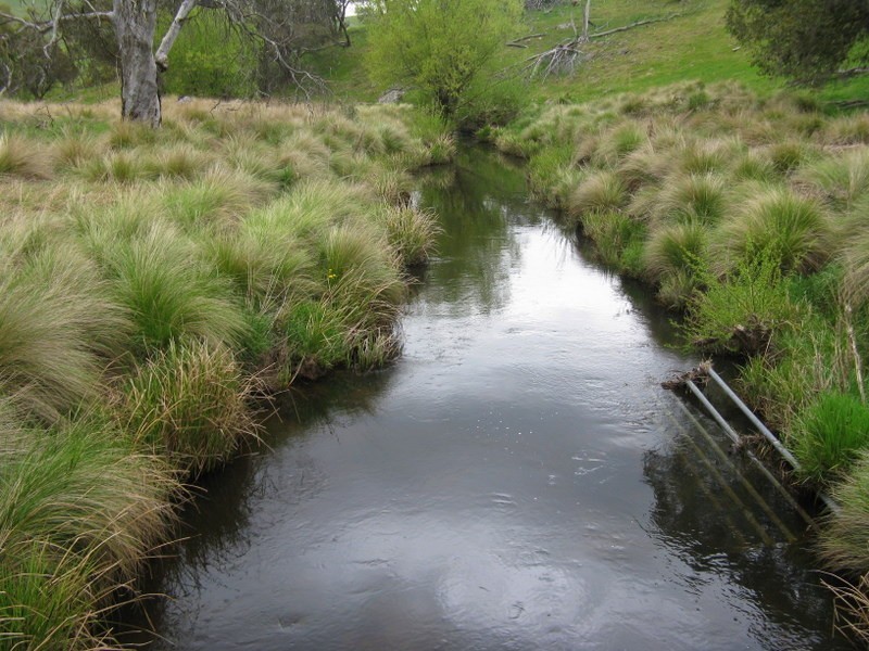 245 Tolands Road Cobungra, Omeo VIC 3898