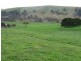 245 Tolands Road Cobungra, Omeo VIC 3898