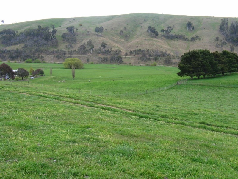 245 Tolands Road Cobungra, Omeo VIC 3898