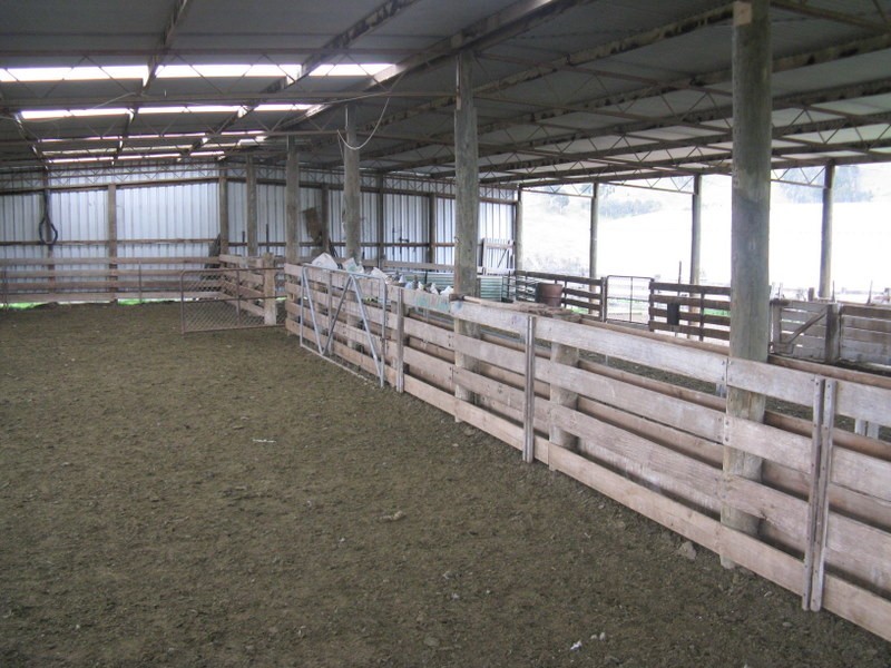 245 Tolands Road Cobungra, Omeo VIC 3898