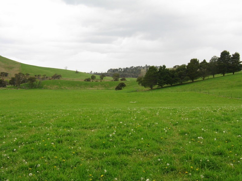 245 Tolands Road Cobungra, Omeo VIC 3898