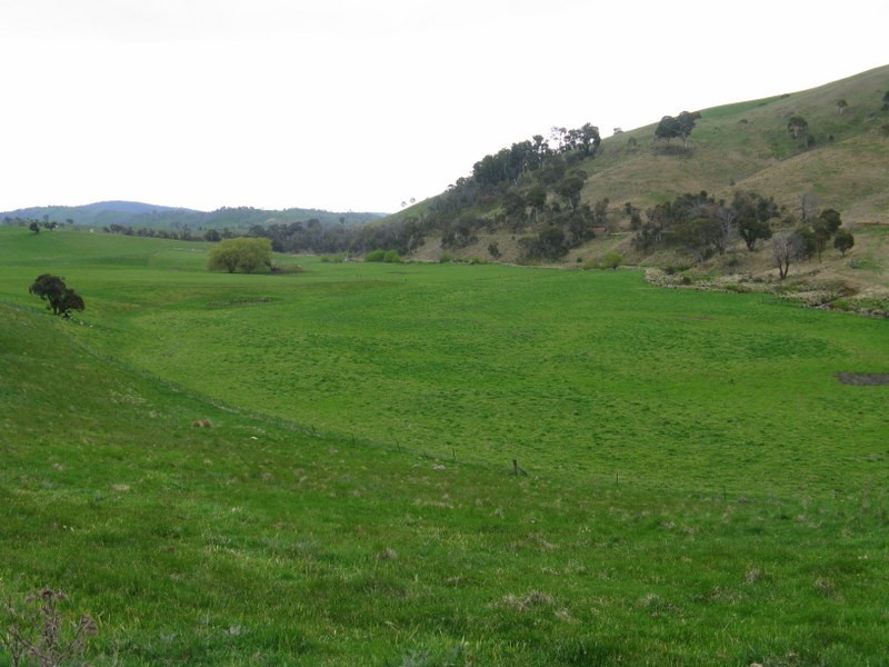 245 Tolands Road Cobungra, Omeo VIC 3898