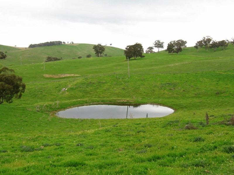 245 Tolands Road Cobungra, Omeo VIC 3898