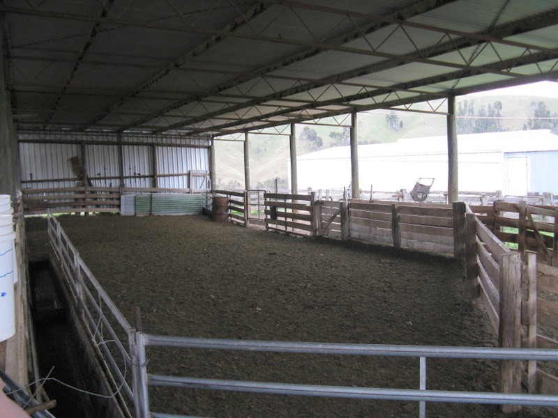 245 Tolands Road Cobungra, Omeo VIC 3898