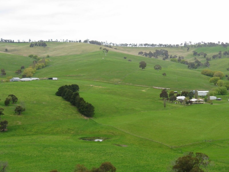245 Tolands Road Cobungra, Omeo VIC 3898