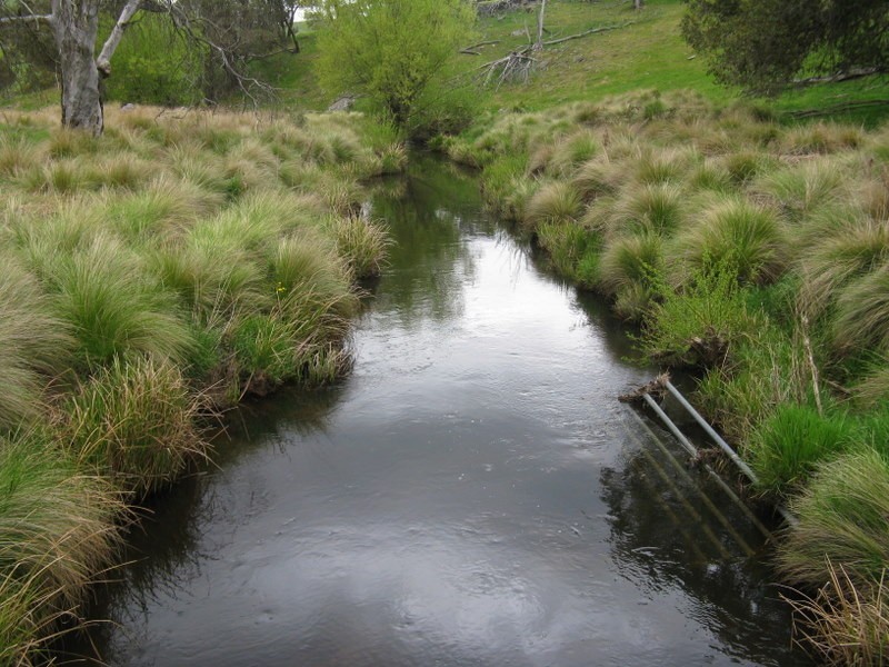 245 Tolands Road Cobungra, Omeo VIC 3898
