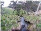 245 Tolands Road Cobungra, Omeo VIC 3898