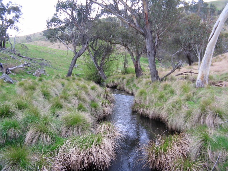 245 Tolands Road Cobungra, Omeo VIC 3898
