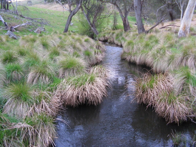 245 Tolands Road Cobungra, Omeo VIC 3898
