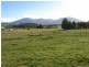 Lot 5 MacFarlane Street, Benambra VIC 3900