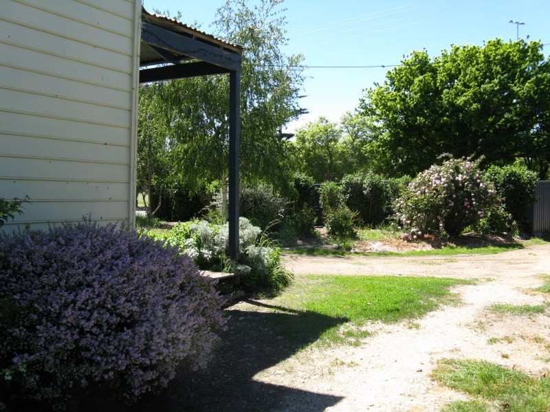 96 Day Avenue, Omeo VIC 3898