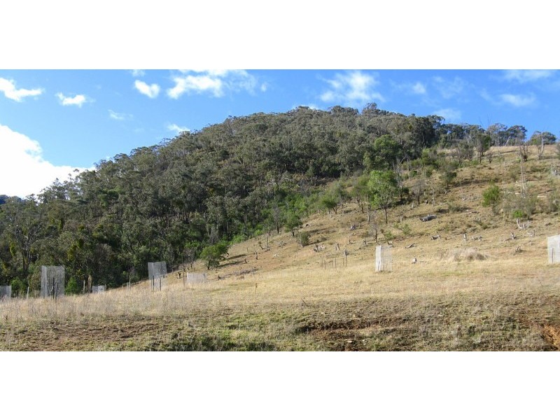800 Cassilis Road, Cassilis VIC 3898