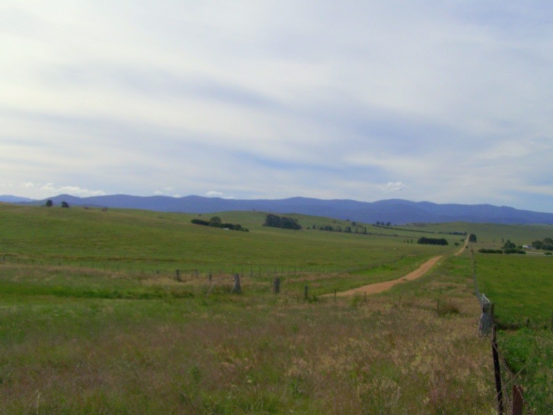 15 Racecourse Road Via Omeo, Benambra VIC 3900