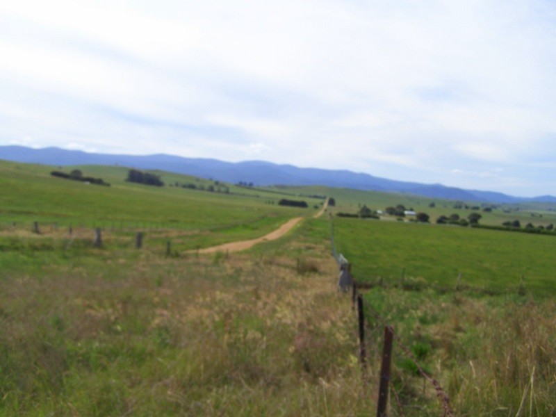 15 Racecourse Road Via Omeo, Benambra VIC 3900