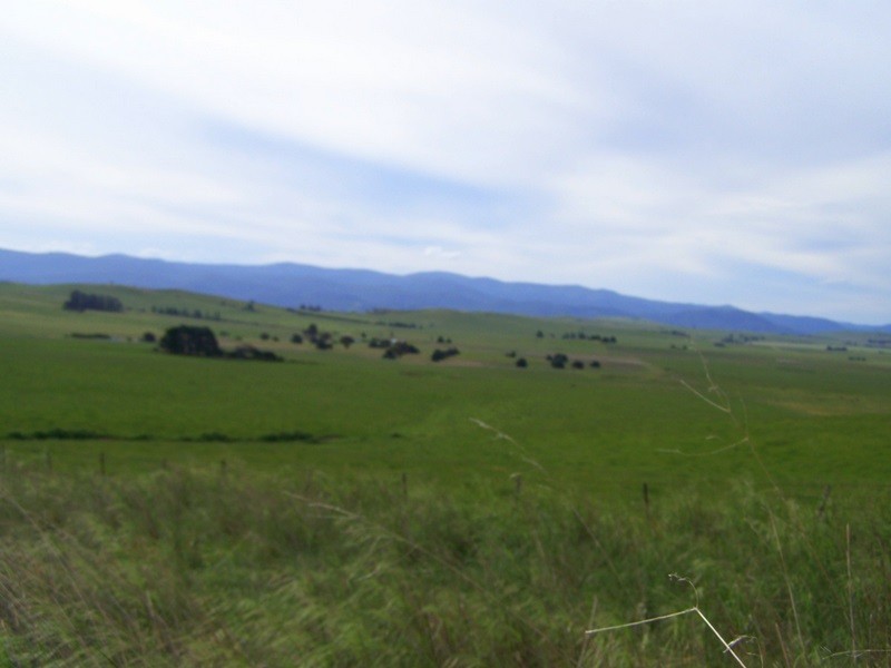 15 Racecourse Road Via Omeo, Benambra VIC 3900