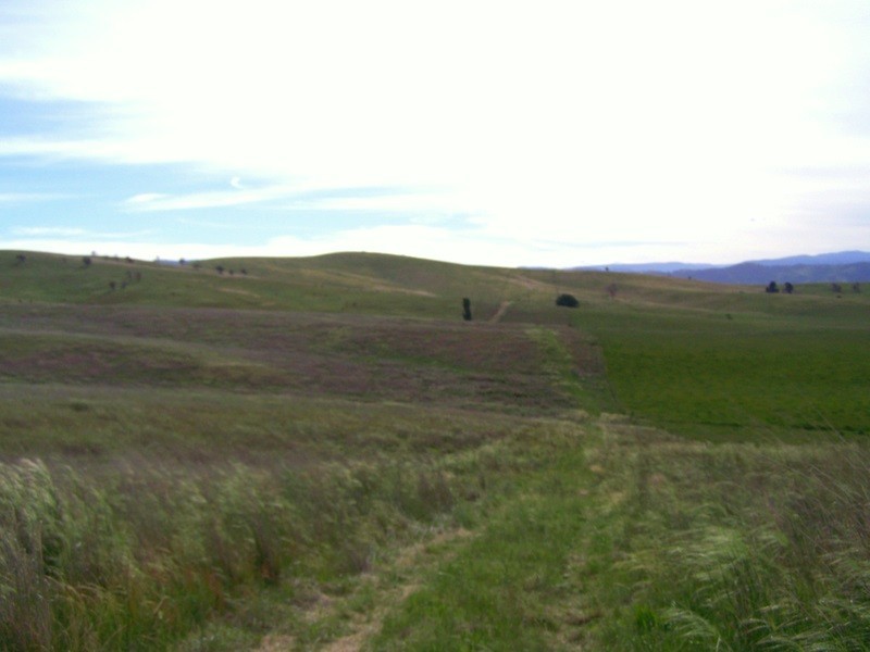 15 Racecourse Road Via Omeo, Benambra VIC 3900