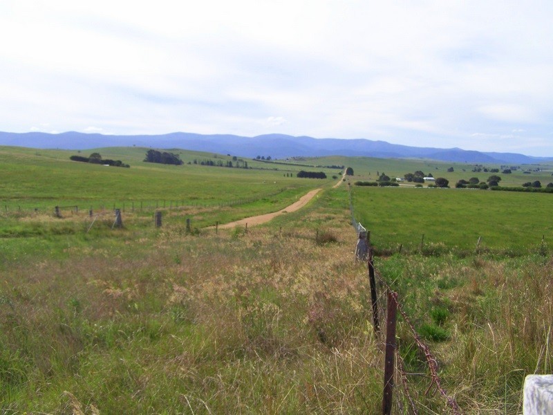 15 Racecourse Road Via Omeo, Benambra VIC 3900