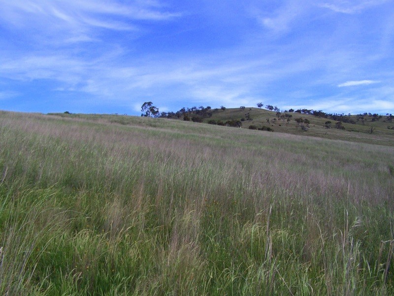 15 Racecourse Road Via Omeo, Benambra VIC 3900