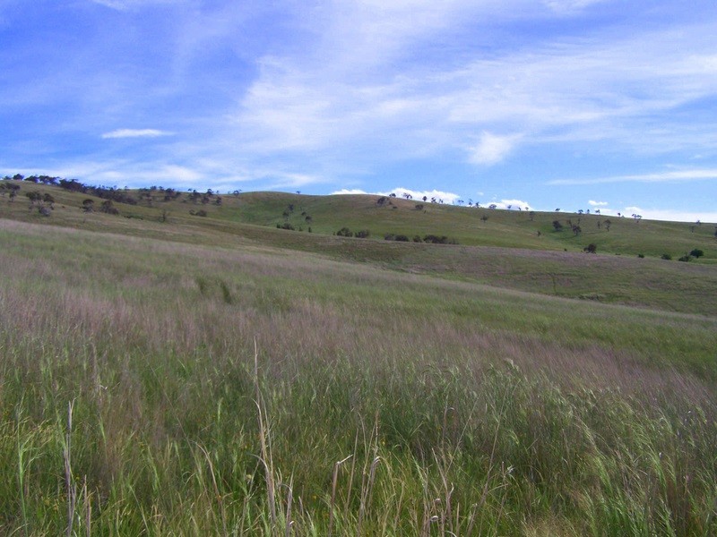 15 Racecourse Road Via Omeo, Benambra VIC 3900