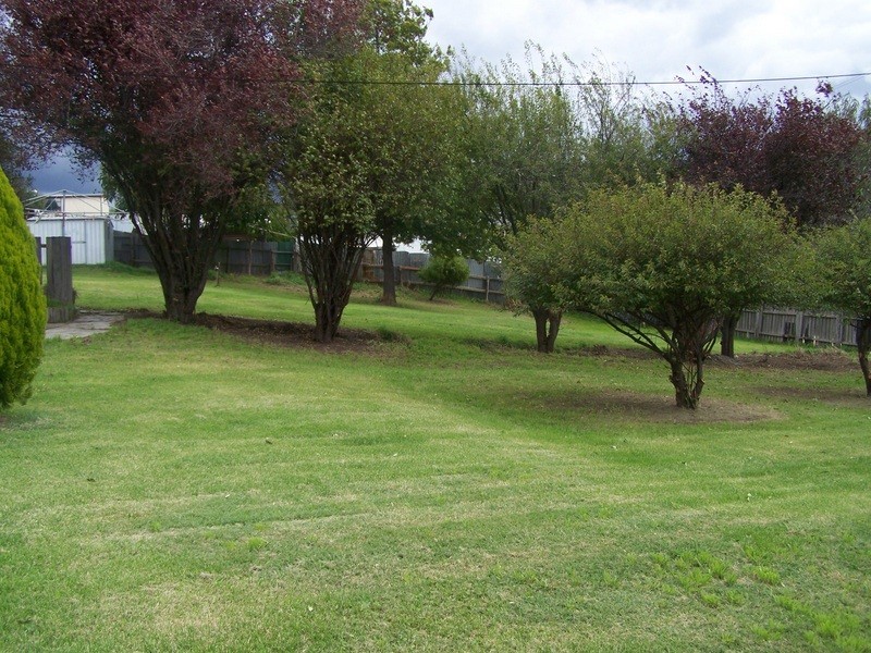 14 Tongio, Omeo VIC 3898