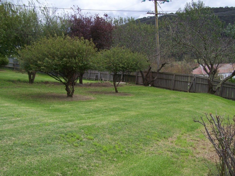 14 Tongio, Omeo VIC 3898