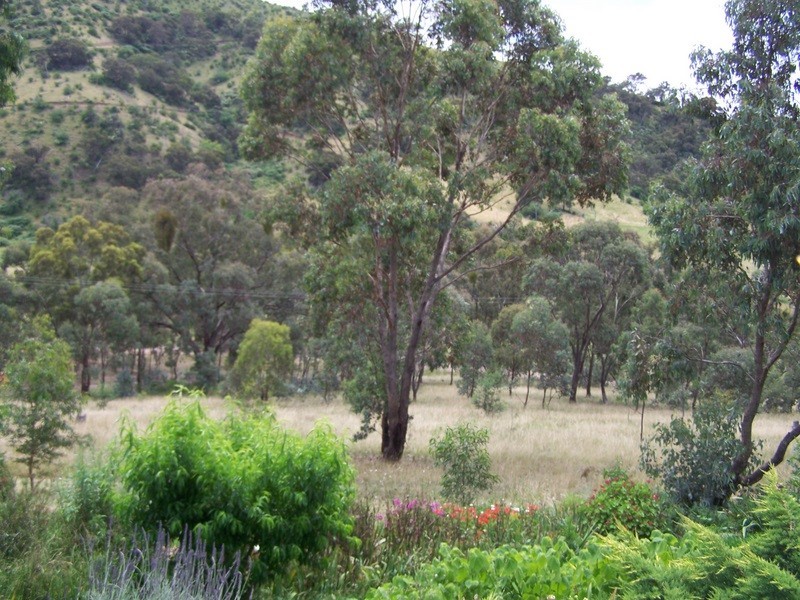 159 Cassilis Road, Swifts Creek VIC 3896