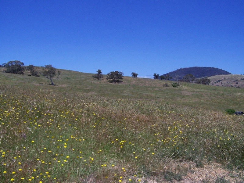 209 Day Avenue, Omeo VIC 3898